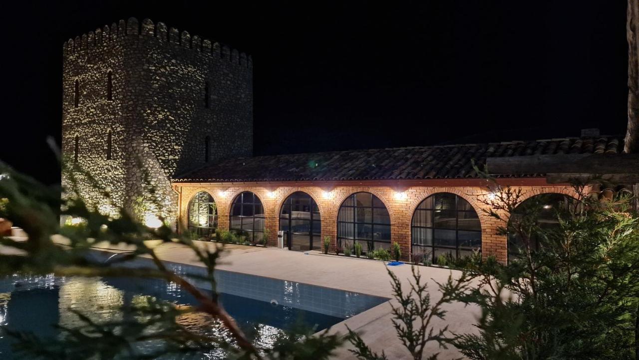Giorgi Ushikishvilis Chateau-Marani Akhmeta Exteriér fotografie