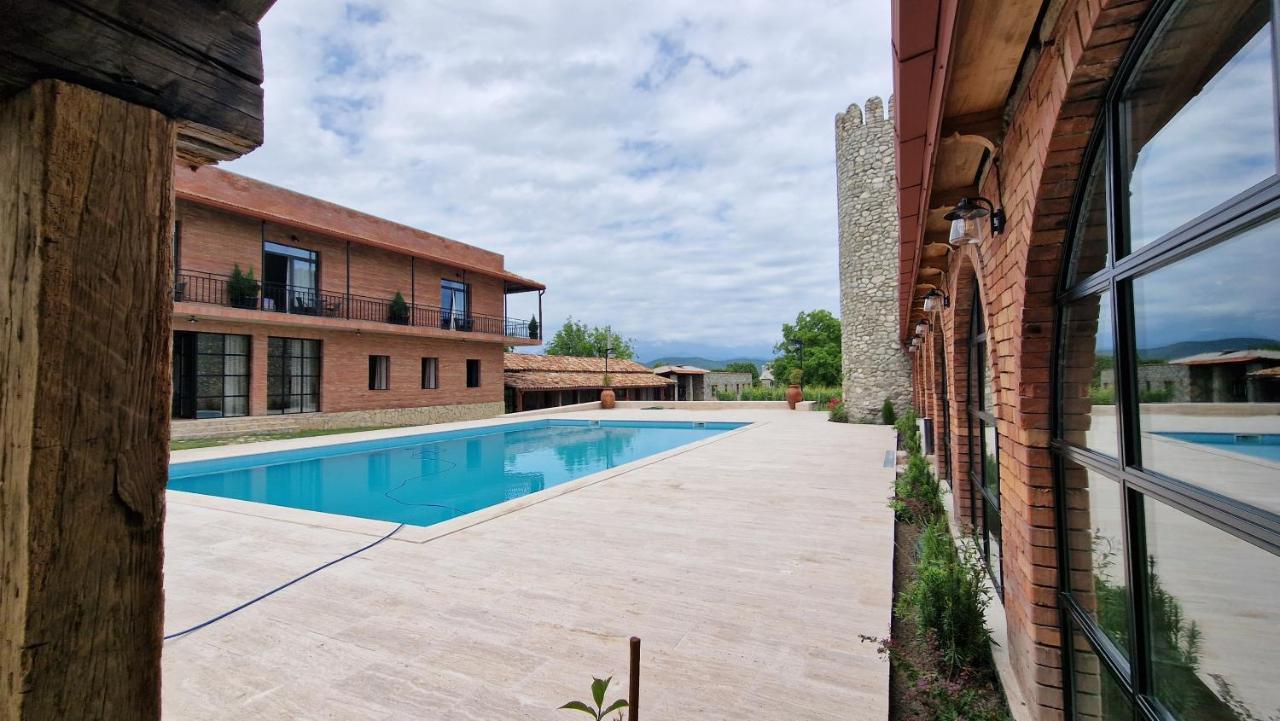 Giorgi Ushikishvilis Chateau-Marani Akhmeta Exteriér fotografie