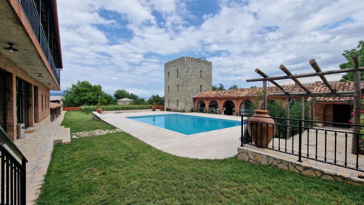 Giorgi Ushikishvilis Chateau-Marani Akhmeta Exteriér fotografie