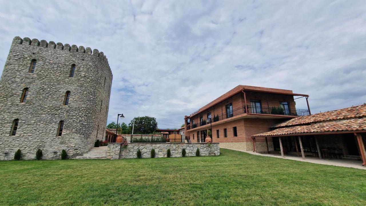 Giorgi Ushikishvilis Chateau-Marani Akhmeta Exteriér fotografie