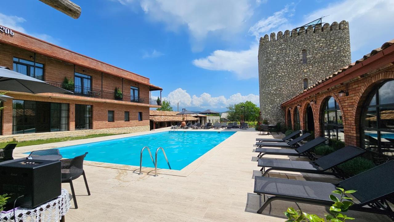 Giorgi Ushikishvilis Chateau-Marani Akhmeta Exteriér fotografie